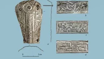 В Калининградской области нашли серебряные пластины