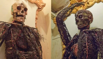 Анатомические машины XVIII века