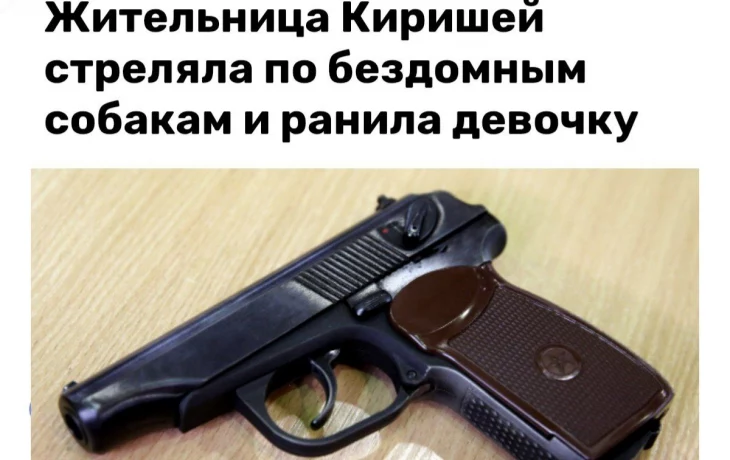 Женщина выстрелила в голову школьнице в Ленобласти