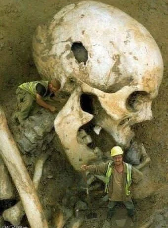 Гиганты существовали!