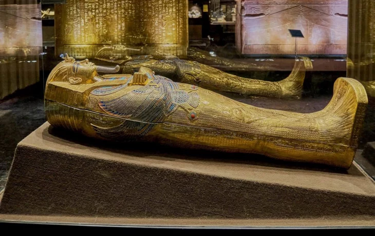 Ученые обнаружили следы паразитических инфекций у древних египтян