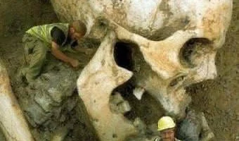 Гиганты существовали!